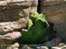 bolivia_altipiani_laguna_colorada_siloli_san_juan (114)