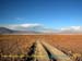 bolivia_altipiani_laguna_colorada_siloli_san_juan (140)