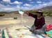 bolivia_altipiani_laguna_colorada_siloli_san_juan (207)