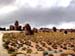 bolivia_altipiani_laguna_colorada_siloli_san_juan (214)