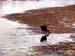 bolivia_altipiani_laguna_colorada_siloli_san_juan (220)