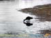 bolivia_altipiani_laguna_colorada_siloli_san_juan (221)