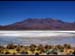 bolivia_altipiani_laguna_colorada_siloli_san_juan (81)