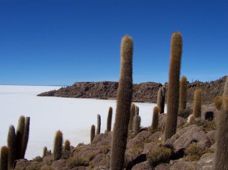 Foto el salar uyuni bolivia