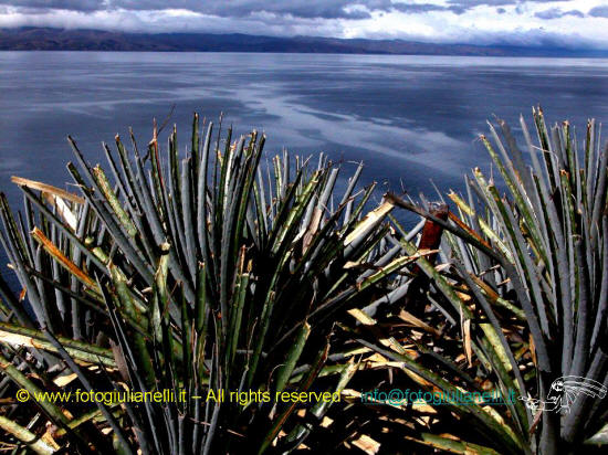 images titicaca lake sun island