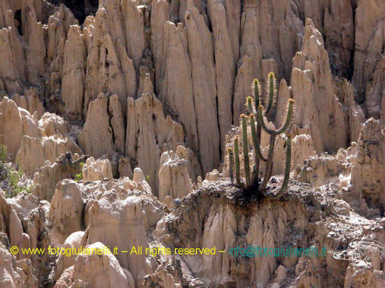 la paz valle della luna