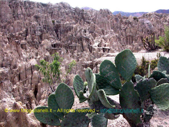 moon valley la paz