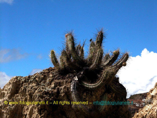 valle de la lune la paz