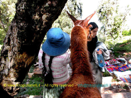 copacabana la paz titicaca potosi