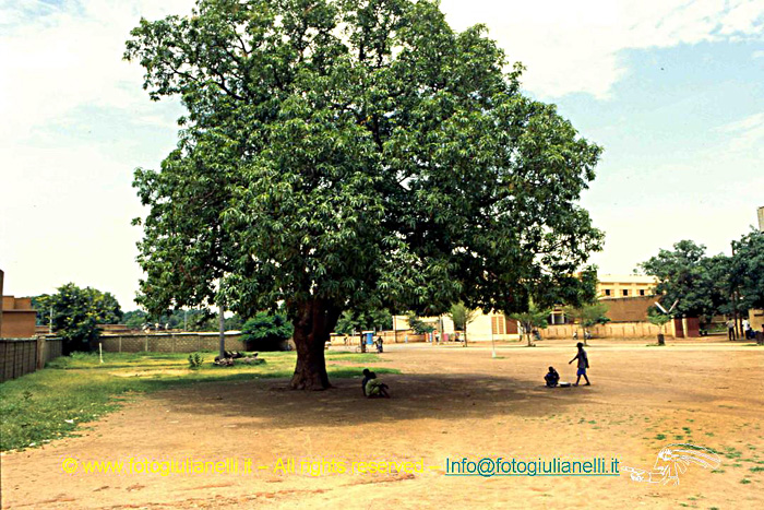 africa burkina faso ouagadougou (143)