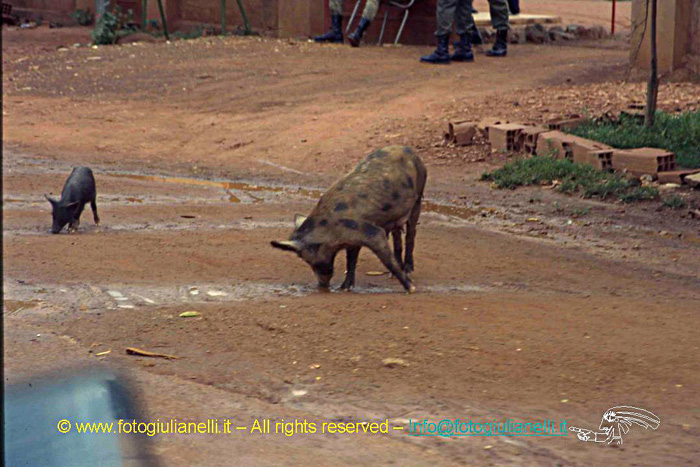 africa burkina faso ouagadougou (147)