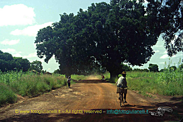 africa burkina faso ouagadougou (181)