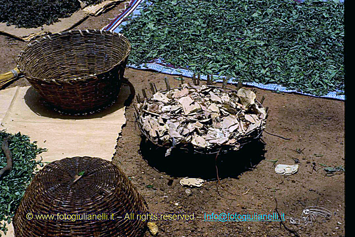 africa burkina faso ouagadougou (20)