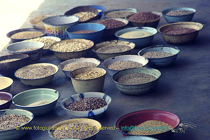 africa burkina faso ouagadougou (22)