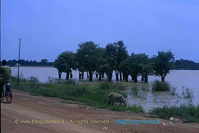 africa burkina faso ouagadougou (25)