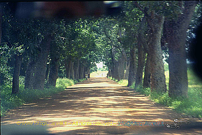 africa burkina faso ouagadougou (41)