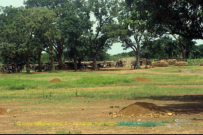 africa burkina faso ouagadougou (69)