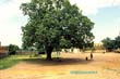 africa burkina faso ouagadougou (143)