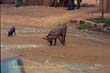 africa burkina faso ouagadougou (147)