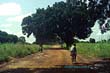 africa burkina faso ouagadougou (181)