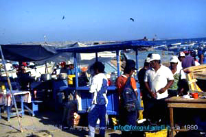 ecuador quito napo amazzonia 1990 (100)