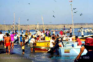 ecuador quito napo amazzonia 1990 (102)