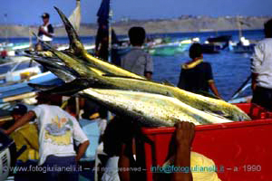 ecuador quito napo amazzonia 1990 (107)