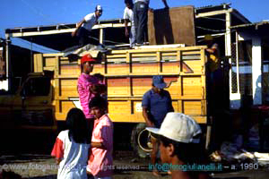 ecuador quito napo amazzonia 1990 (110)