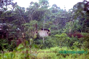 ecuador quito napo amazzonia 1990 (142)