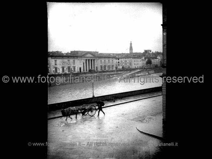 lungarno torrigiani firenze